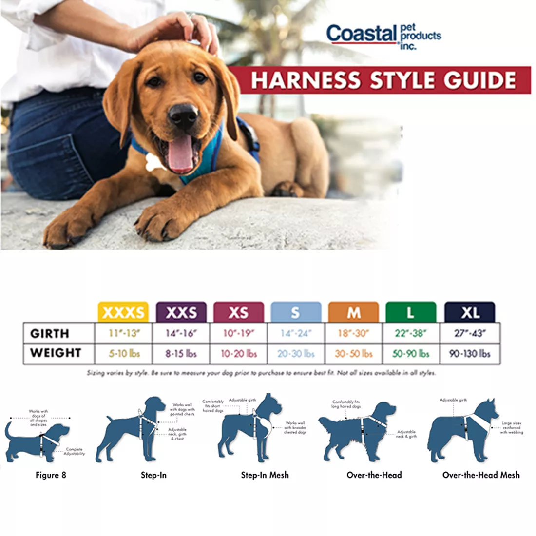 what size harness should I get for a golden retriever puppy?