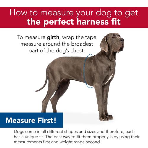 Harness for deep chested sales dogs