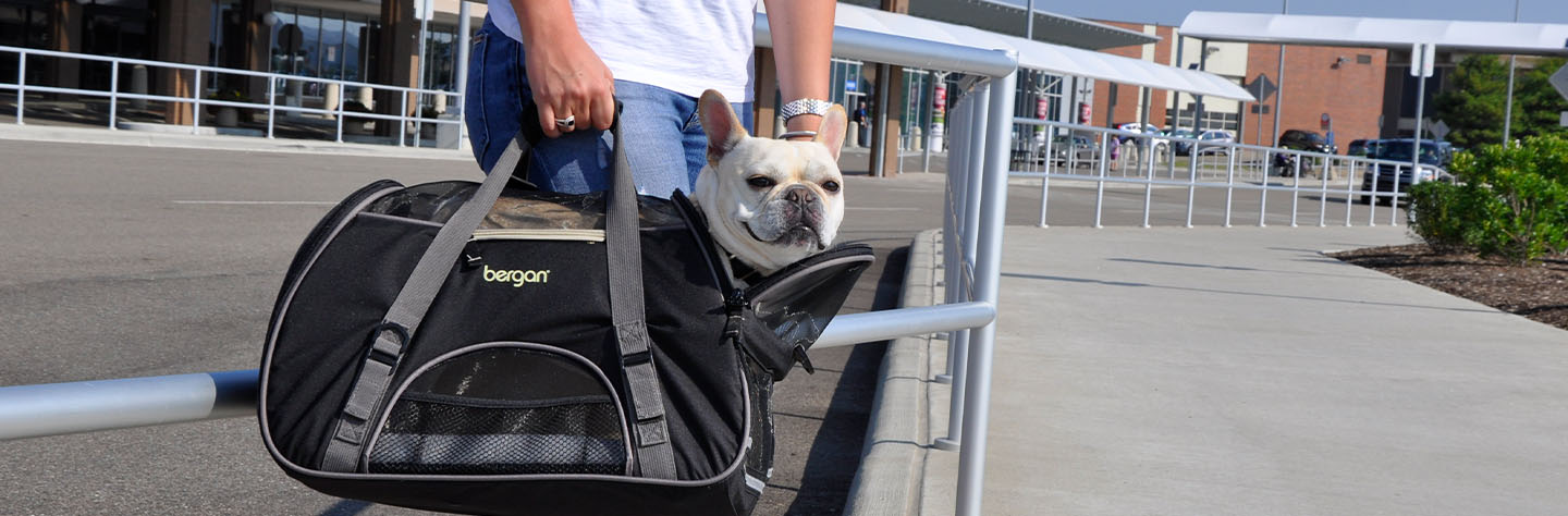 Pet top travel essentials