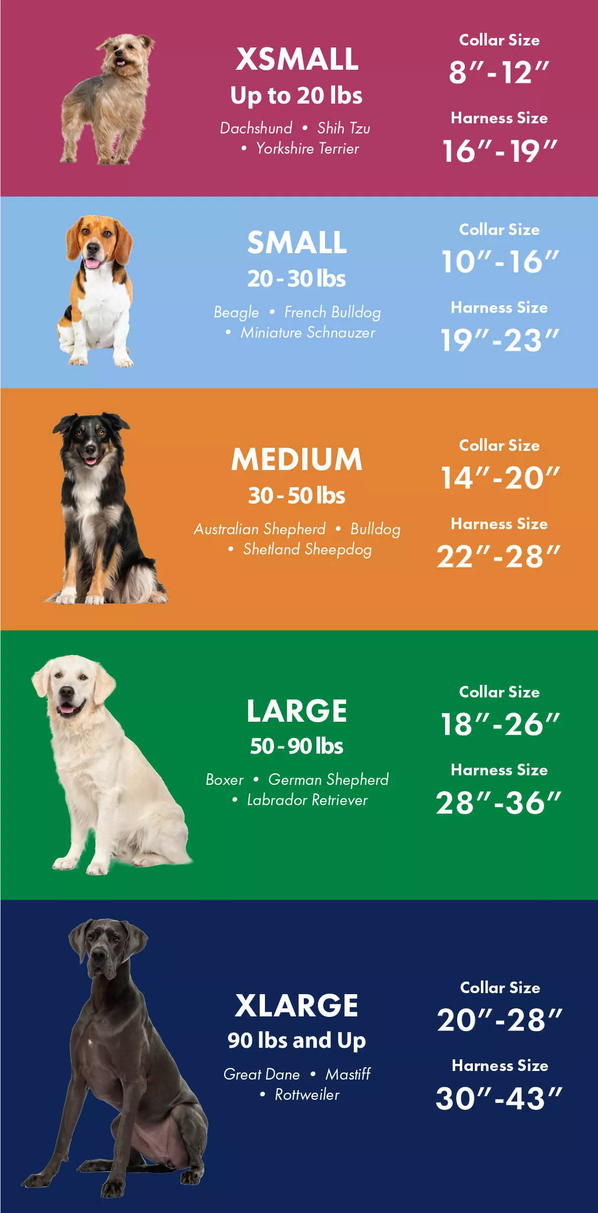Fit Guide And Sizing Chart Ortho Dog vlr.eng.br