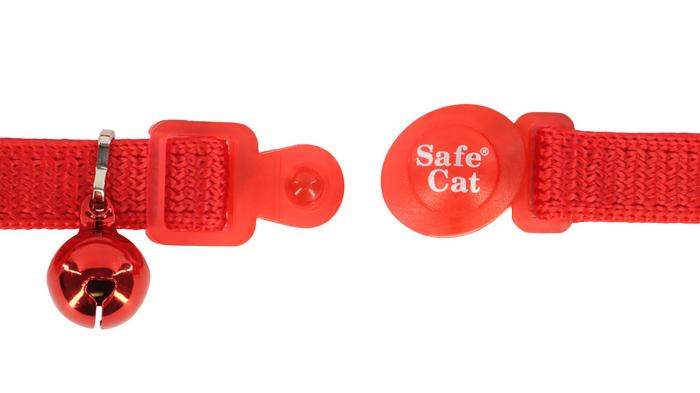 Non breakaway cat collar sale