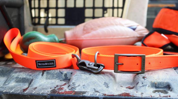 Orange 2024 hunting collar