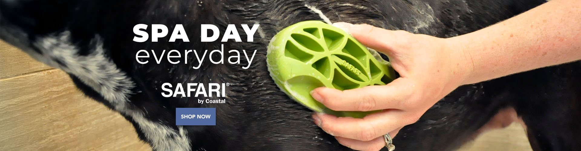 Promotional image showing a hand using a green grooming brush on a dog’s coat, with text reading ‘SPA DAY everyday — SAFARI by Coastal’ and a ‘Shop Now’ button.