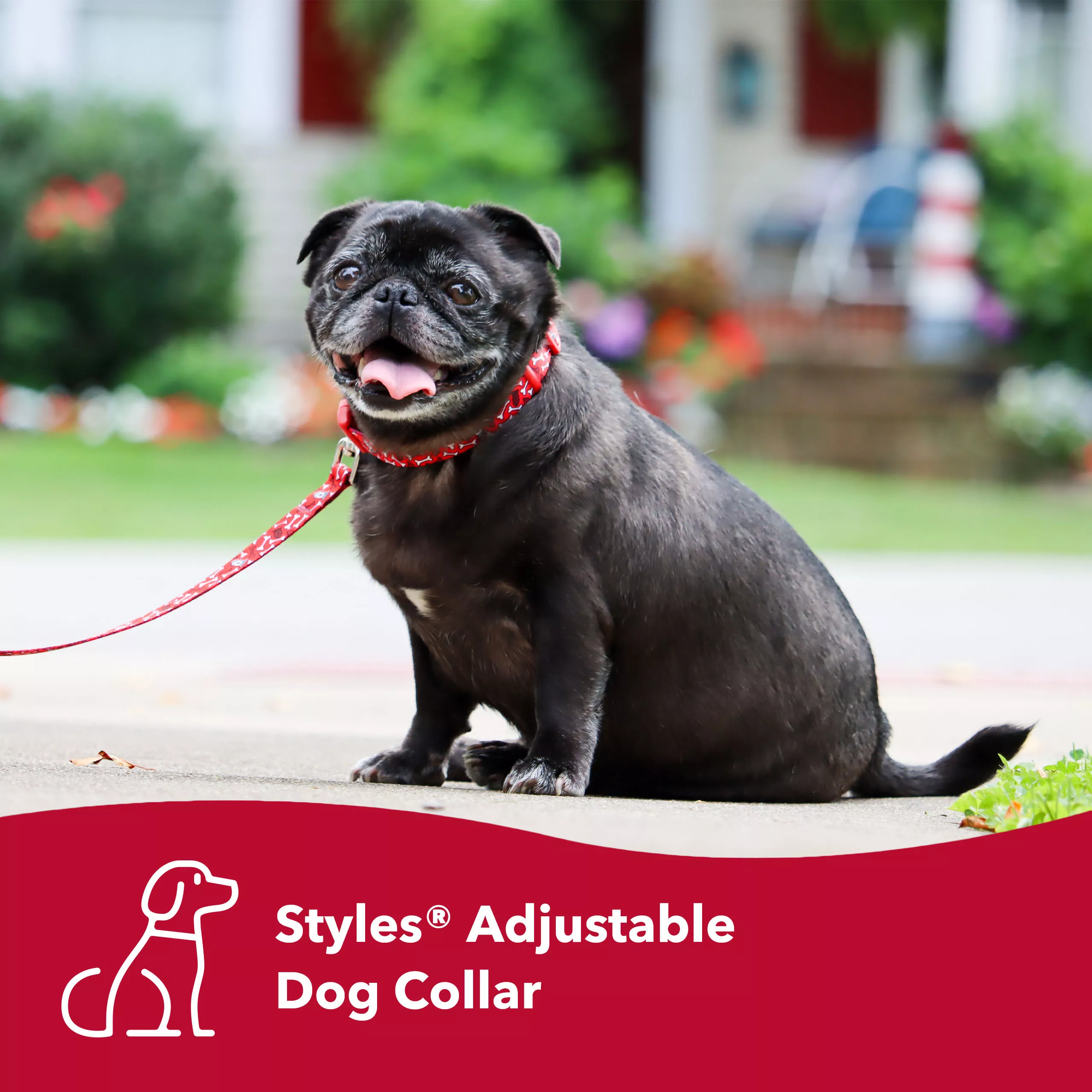 Coastal Pet Products Styles Adjustable Dog Collar Medium Red Bones