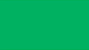 A swatch shown as a solid rectangular block of bright green color with a smooth, uniform surface and no visible pattern or texture variation.