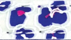 A swatch displaying a neon leopard‑print pattern made of irregular glowing purple spots on a deep black background. Each spot has a soft halo effect, giving the swatch a vibrant, electric appearance. The smooth printed surface emphasizes the bold contrast between the dark base and luminous purple shapes.