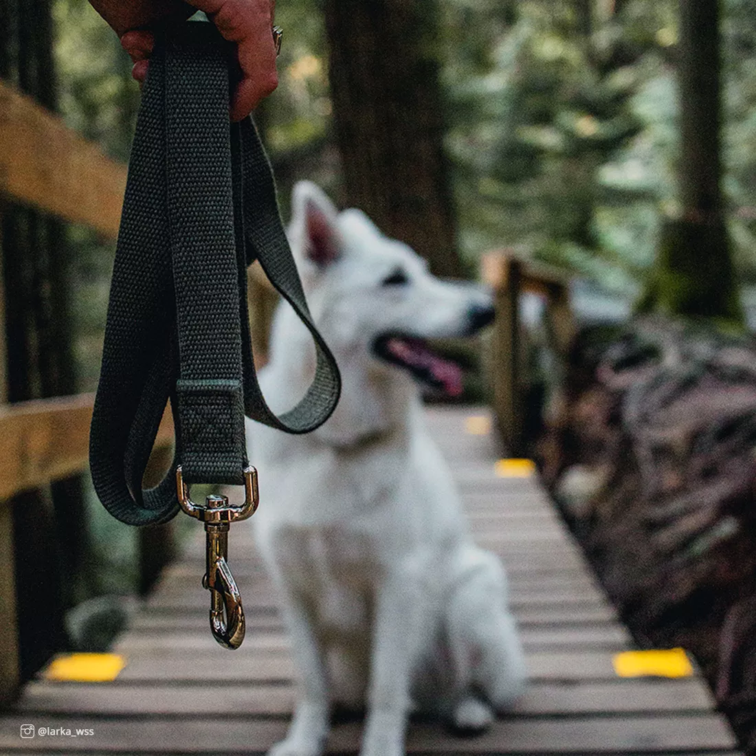 A lifestyle photograph showing a close-up of a dog on a wooden walkway in a forested area. The foreground features a dark green leash made of matte woven fabric, hanging downward from an unseen handler's hand. A silver metal clasp is visible at the end of the leash. A dog sits in the mid‑ground wearing a woven fabric harness, which appears dark in color. The background shows evergreen trees, wooden railings, and a blurred forest environment.
