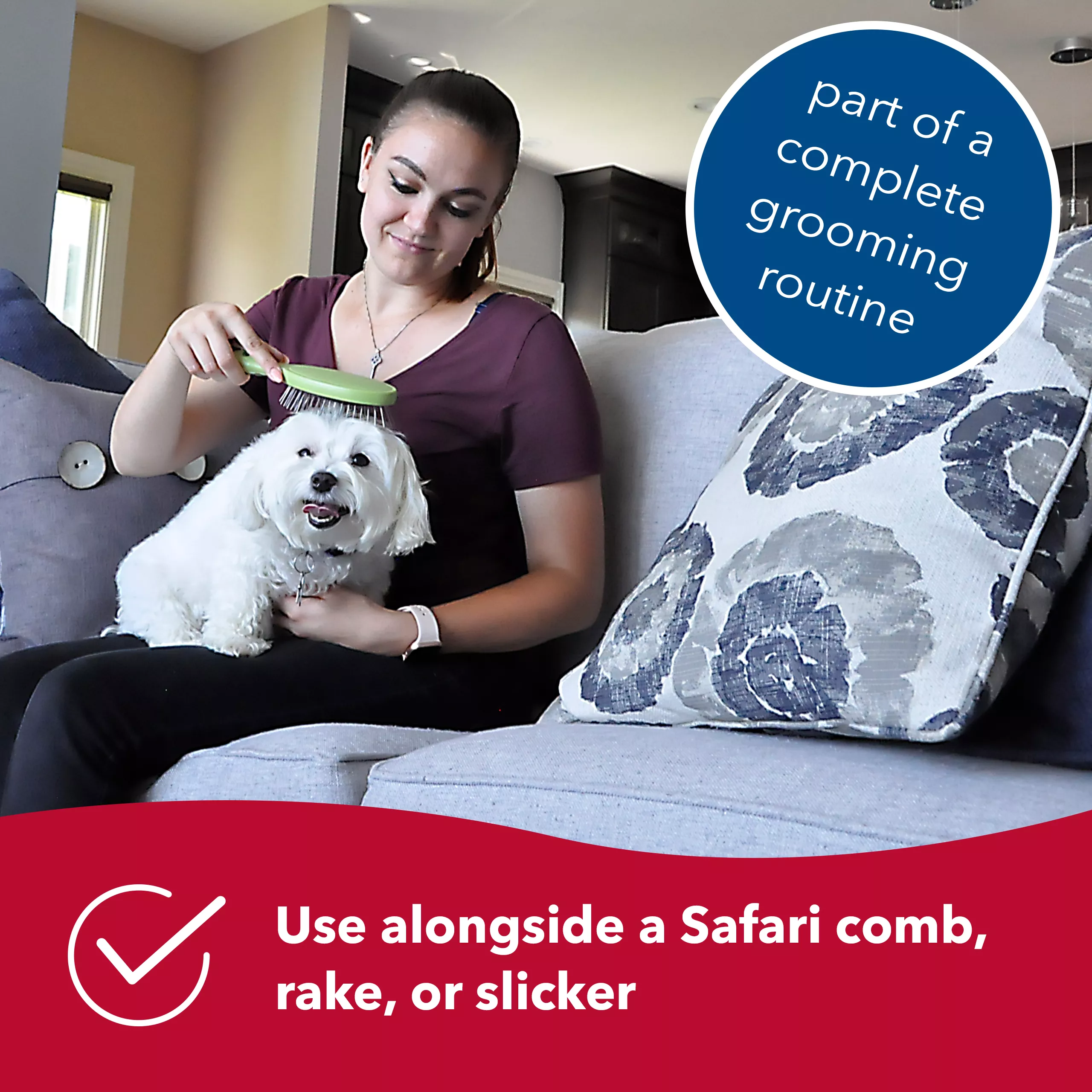 A wire pin brush with a plastic handle being used to brush a dog indoors. A red banner with a white checkmark reads: “Use alongside a Safari comb, rake, or slicker.” A blue circular label reads: “part of a complete grooming routine.”