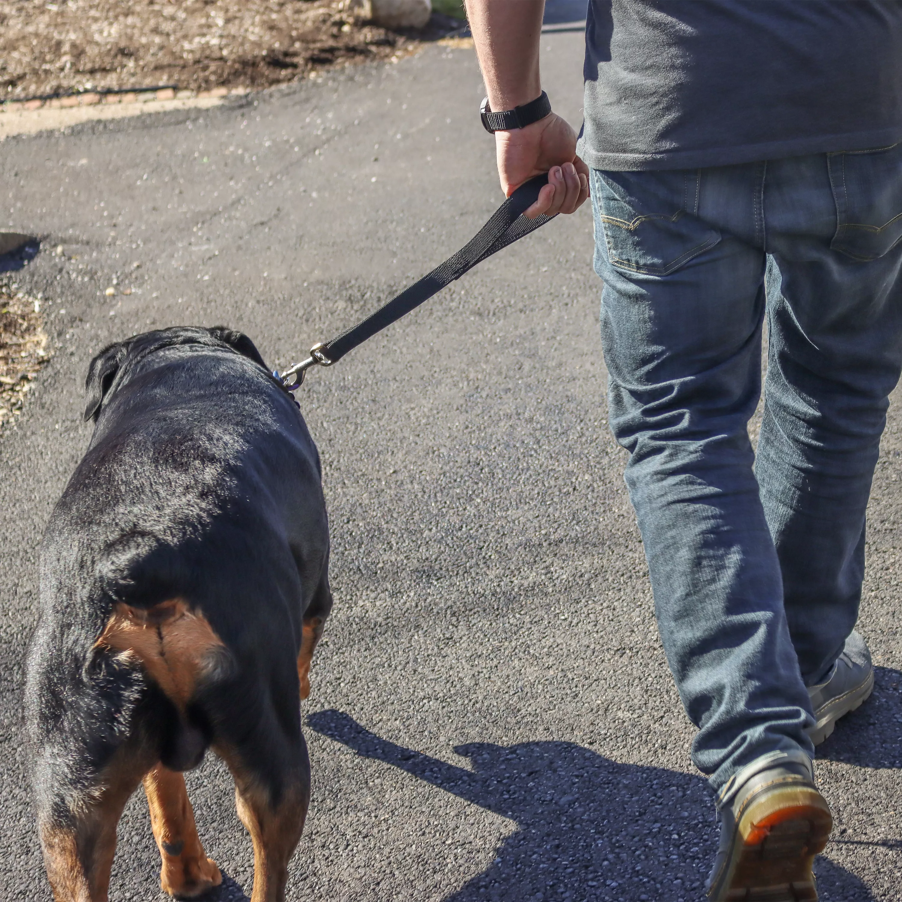 A dog with a short black and tan coat walks on a paved path next to a person whose lower body is visible. The dog is attached to a black double‑ply traffic leash made of thick woven nylon. The leash includes a silver‑tone swivel bolt‑snap clasp secured to the dog’s collar. The leash is short, and the person is holding it close to the dog’s shoulder. The background shows pavement, grass, and leafless trees.