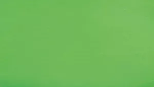 A swatch shown as a horizontal rectangular block of bright green color with a smooth surface and subtle gradient shading.