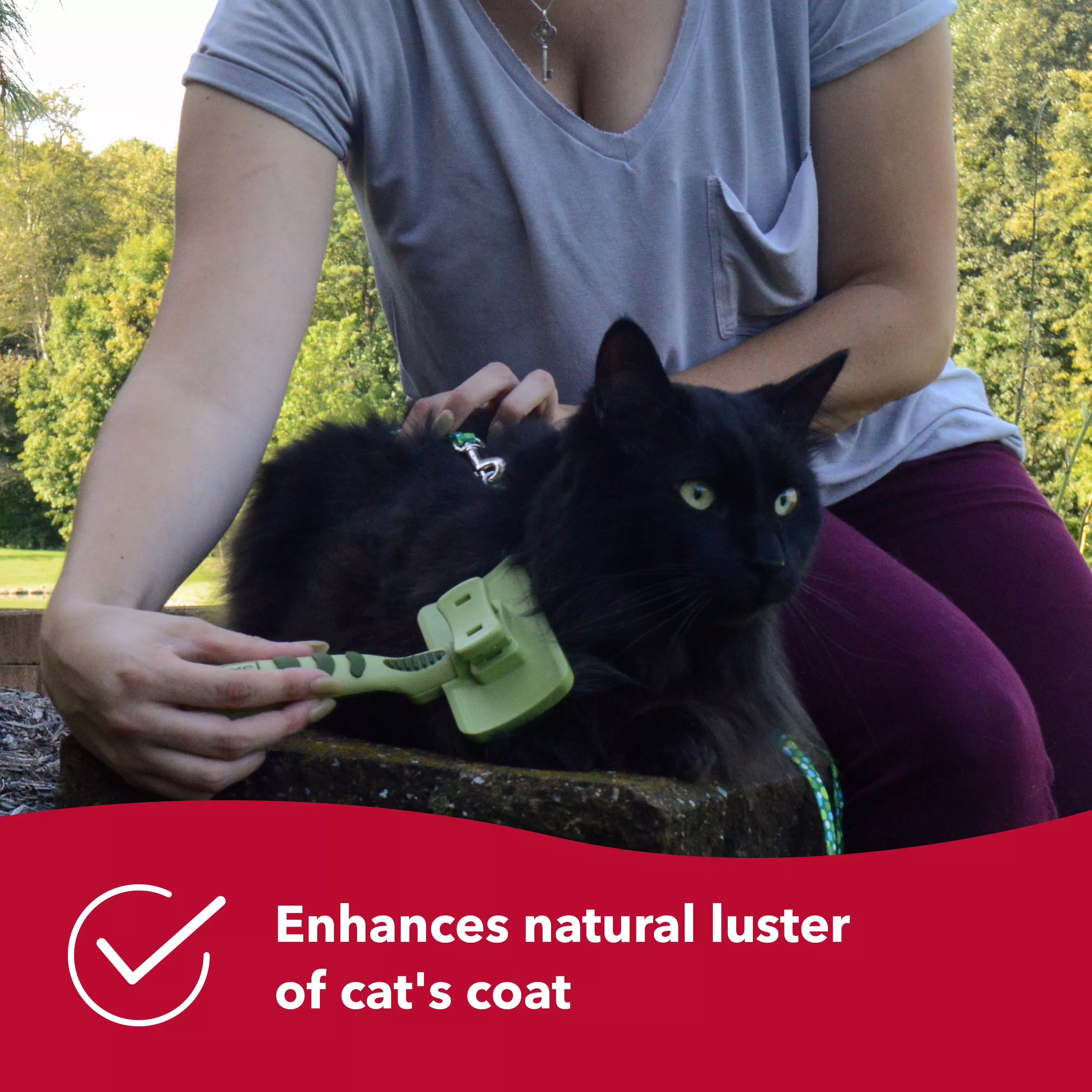 A long‑haired black cat is brushed outdoors with a pale green self‑cleaning slicker brush. The brush has a rectangular head filled with fine metal bristles and a pale green handle with darker green textured grip areas. A red banner along the bottom contains white text reading “Enhances natural luster of cat’s coat.” The background includes grass and outdoor landscaping.