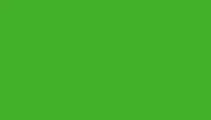 A swatch displays a solid green color field identified as Inspire Green. The surface appears flat and uniform with no visible texture, pattern, or variation. The green tone is bright, saturated, and consistent across the entire swatch.