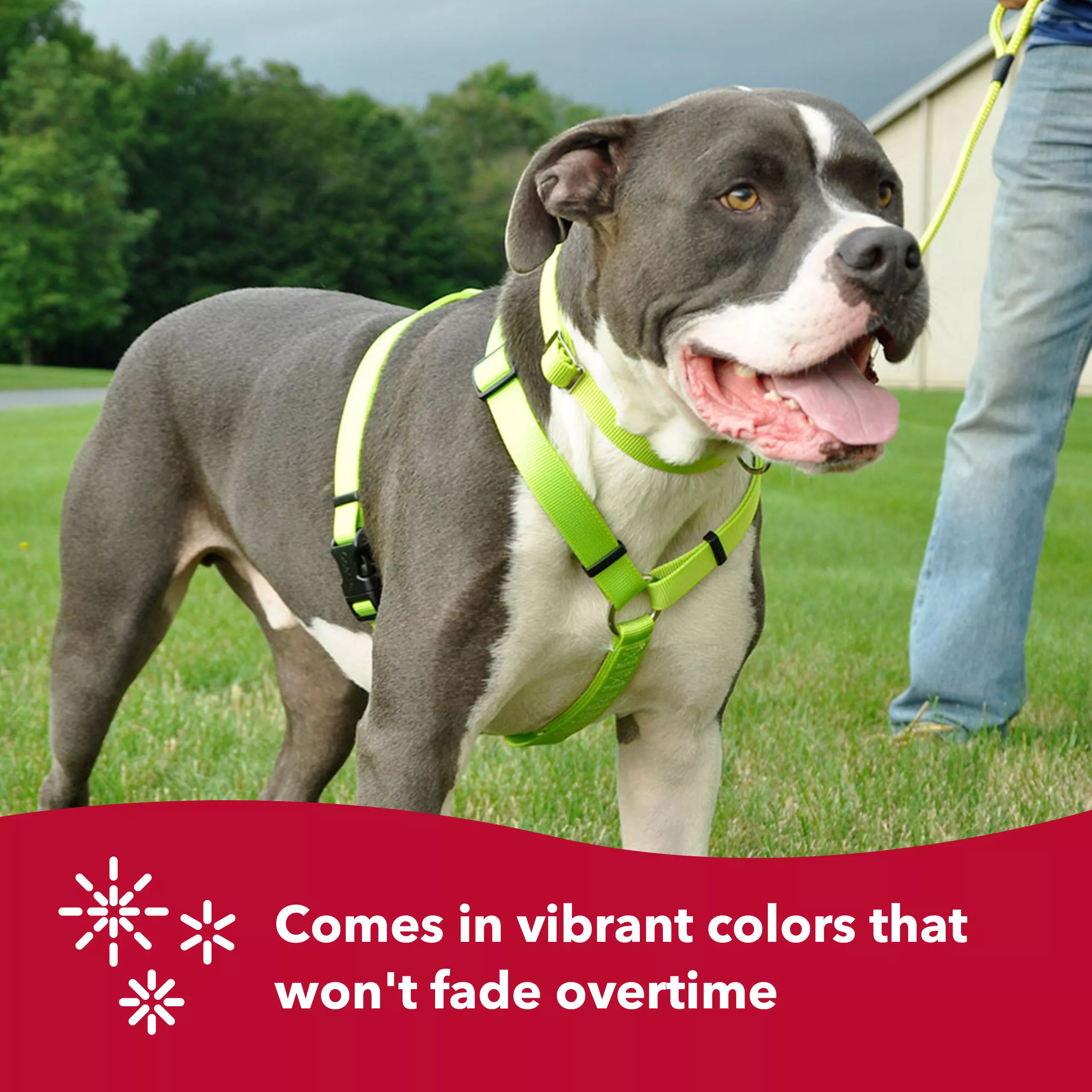 A gray dog with short fur stands on green grass wearing a neon‑yellow woven‑nylon adjustable collar fitted with a silver‑tone metal side‑release buckle. The collar sits securely against the dog’s neck, showing its woven texture and hardware details. A red banner along the bottom features a pink sunburst icon and reads “Comes in vibrant colors that won’t fade overtime” in white text.