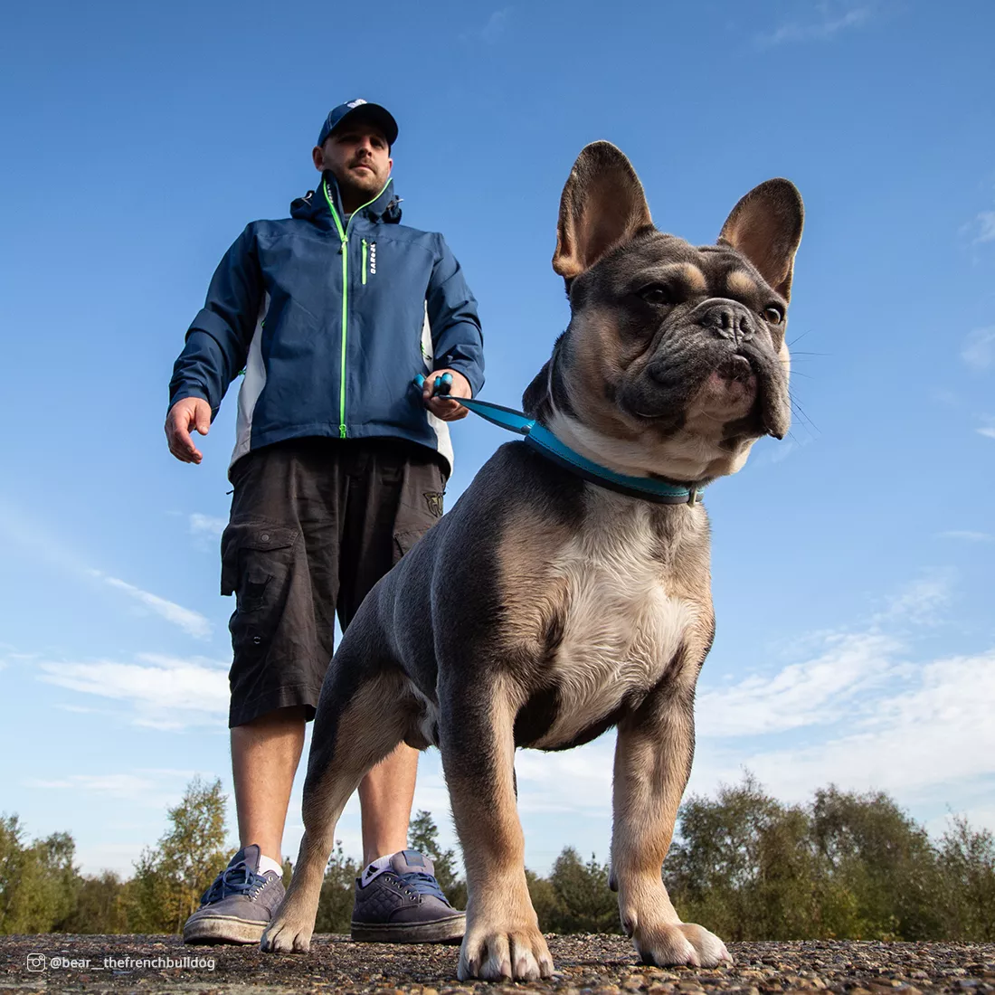 A person walks a dog on a dirt path outdoors. The dog wears a bright blue reflective collar with gray trim and gray plastic hardware. A matching bright blue reflective leash extends upward to the person. The background includes rocks, dirt, grass, and overcast daylight.