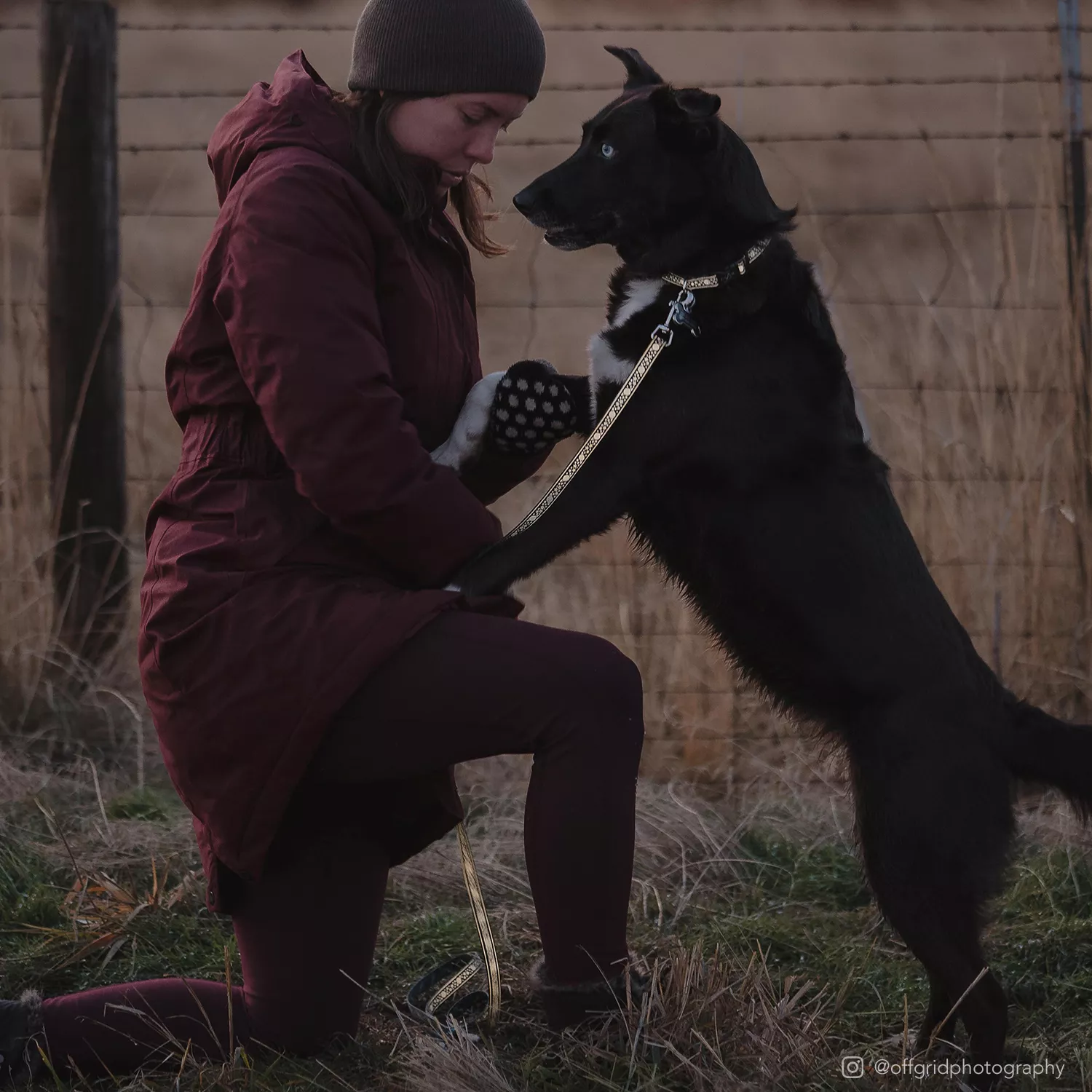 A person is walking a black dog outdoors using a patterned reflective leash. The leash strap is dark woven material topped with a light‑gray reflective strip laser‑etched with small repeating shapes. A silver swivel snap attaches the leash to the dog’s collar. The background includes tall dry grass and natural light.