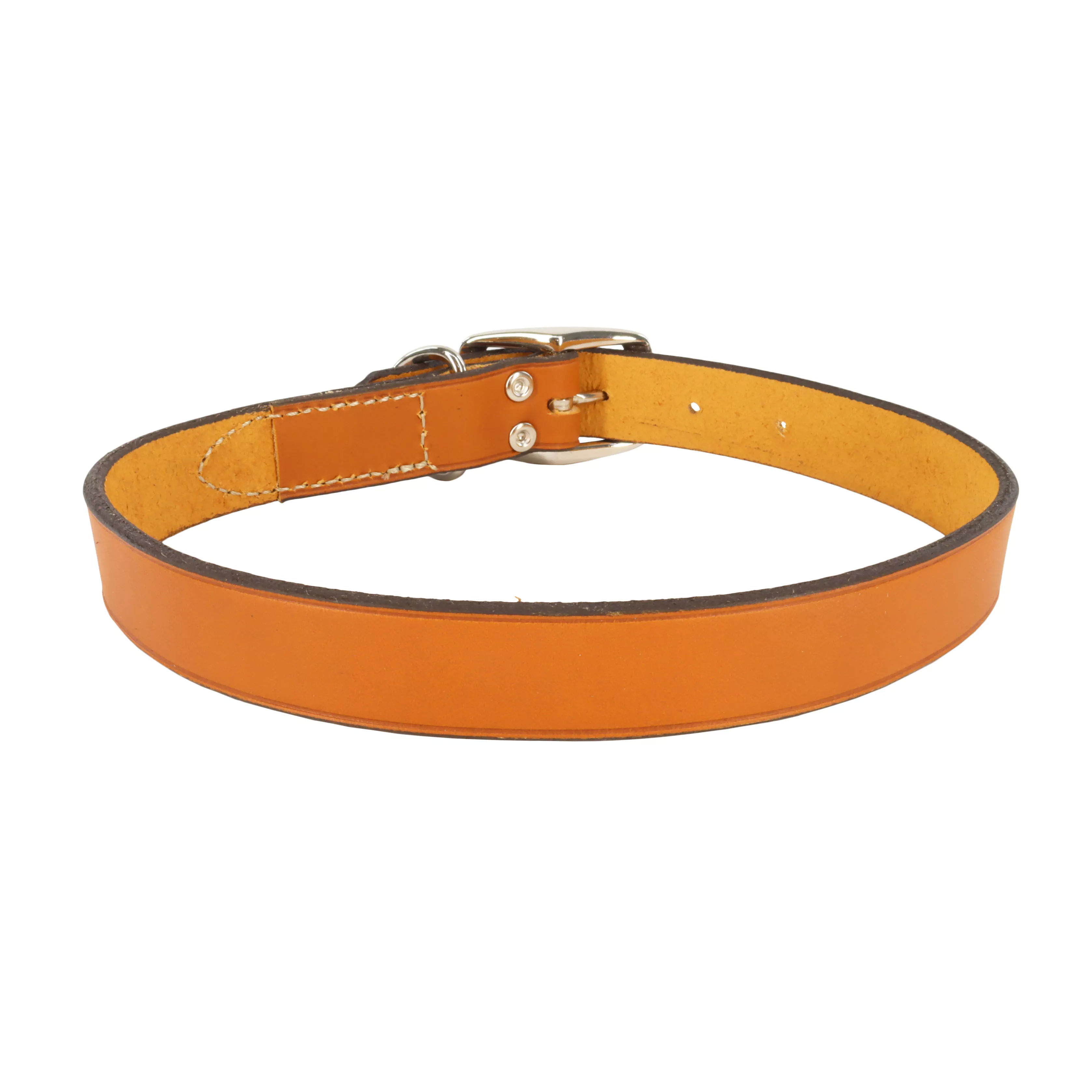 A product image of the Circle T® Oak Tanned Leather Town Dog Collar in Tan shows the collar arranged in an oval on a white background. The leather has a warm caramel tone with faint grain texture. The reinforced buckle panel includes silver hardware and tan stitching, while the rest of the collar displays a smooth, flat leather band with sealed edges.