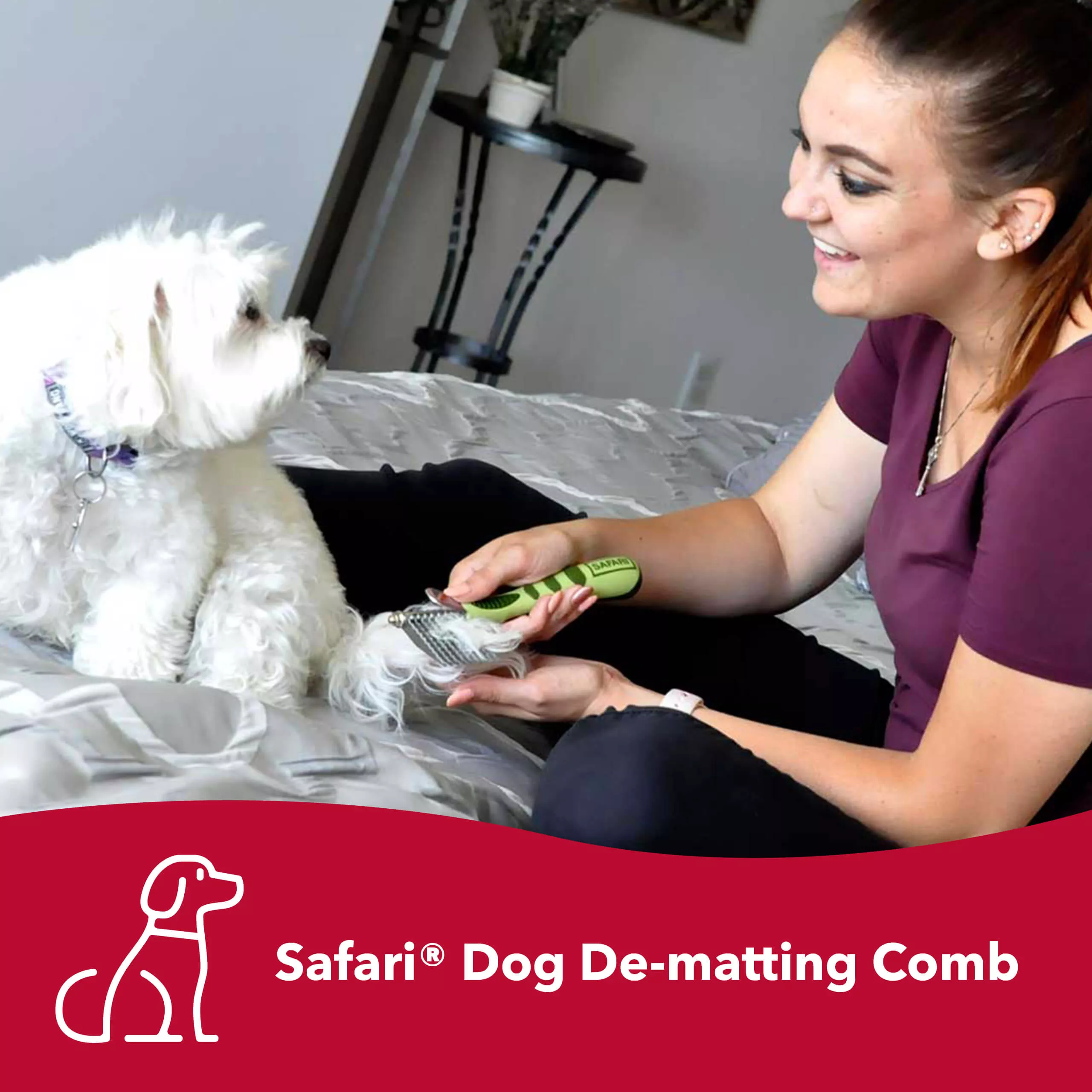 A lifestyle image showing a person grooming a white long‑haired dog with a dog de‑matting comb. The comb has a metal blade assembly and a light green handle with darker green grip inserts. The person is brushing through the dog’s fur along its side. The background shows indoor flooring and part of a piece of equipment. A red banner spans the bottom of the image, featuring a white line‑art illustration of a dog and the printed text “Safari® Dog De‑matting Comb.”