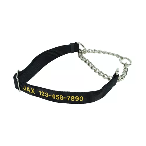Coastal® Adjustable Check Training Collar™ for Dogs - Personalized Product image