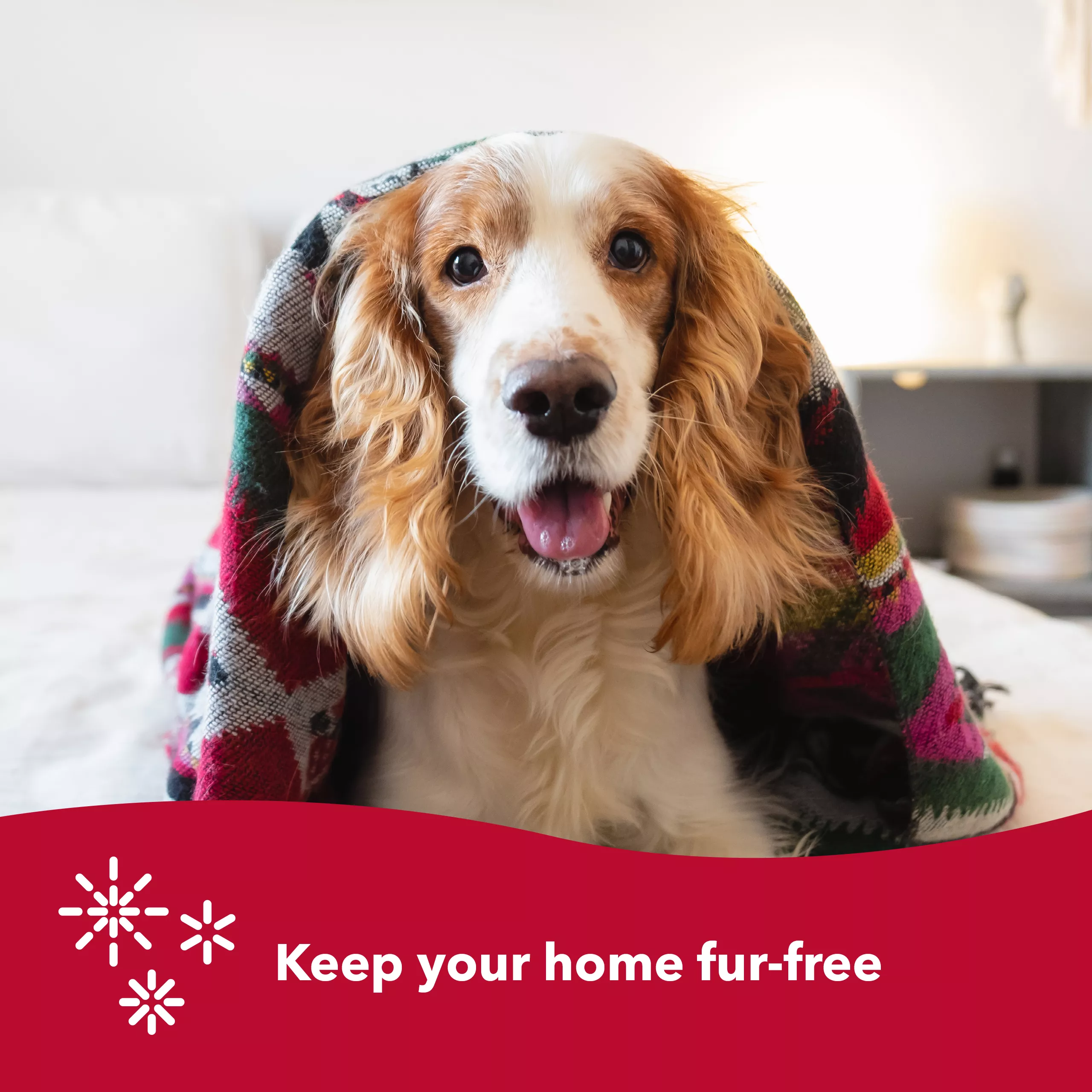 A lifestyle image showing a dog with long golden‑brown fur sitting indoors, covered with a red and gray patterned blanket. A red banner along the bottom includes a white checkmark icon and the printed text “Keep your home fur‑free.”