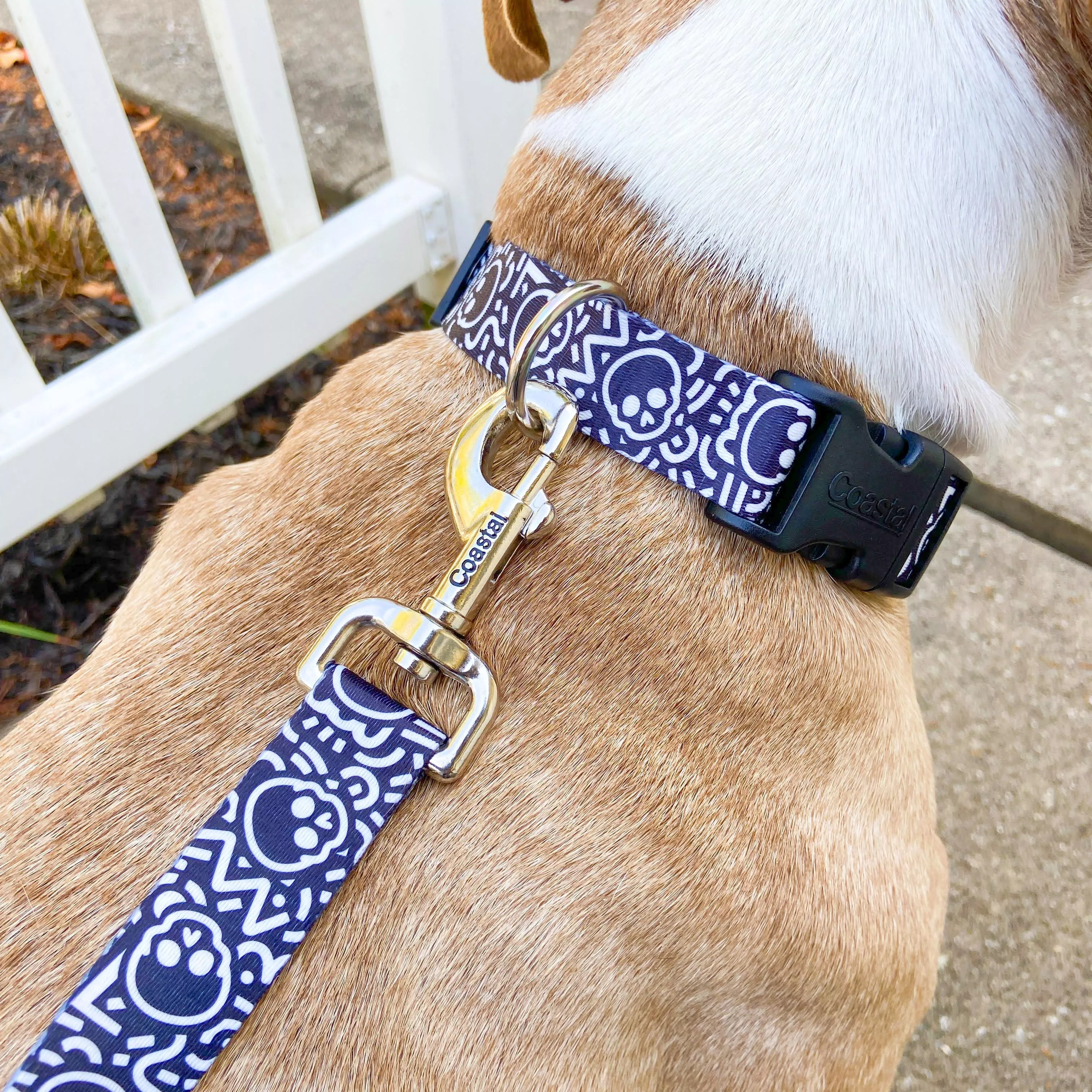 A lifestyle image of a dog wearing a blue adjustable collar featuring a white skull pattern. The collar has a black plastic buckle and a silver metal D‑ring. A matching blue leash with white skulls is clipped to the collar using a silver metal clasp. The dog has a tan coat and is shown sitting outdoors.
