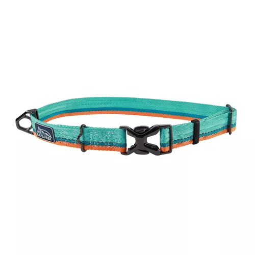 K9 Explorer® Trek Adjustable Dog Collar Product image