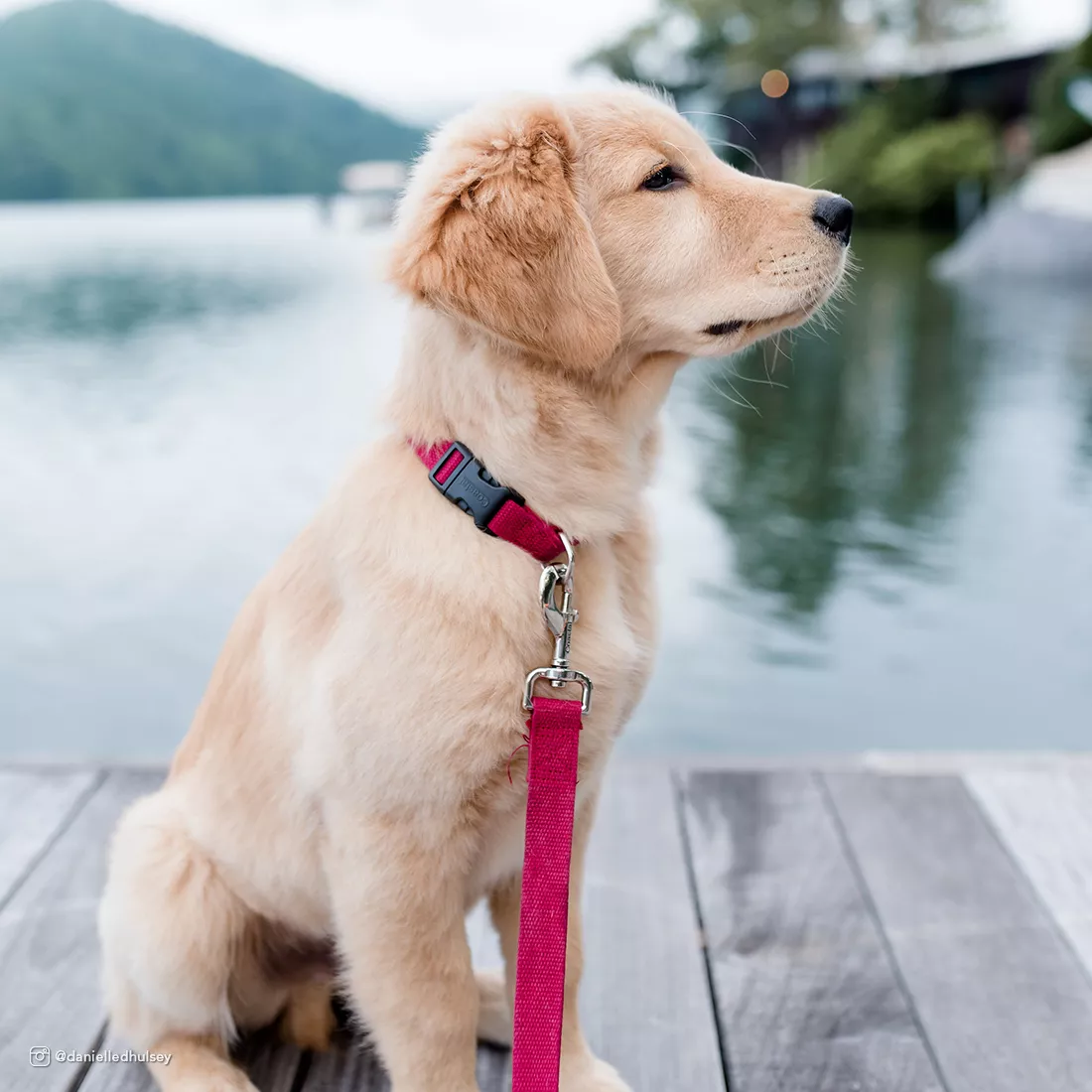 A lifestyle photograph of a dog sitting outdoors on a gravel surface near a large body of water. The dog is wearing a cranberry‑red collar made of matte woven fabric with a silver metal D‑ring and a black plastic buckle. Attached to the collar is a cranberry‑red leash made from the same woven fabric, with a silver metal clasp. The leash extends upward out of the frame. The background includes calm blue water, a shoreline, and soft-focus trees and mountains.