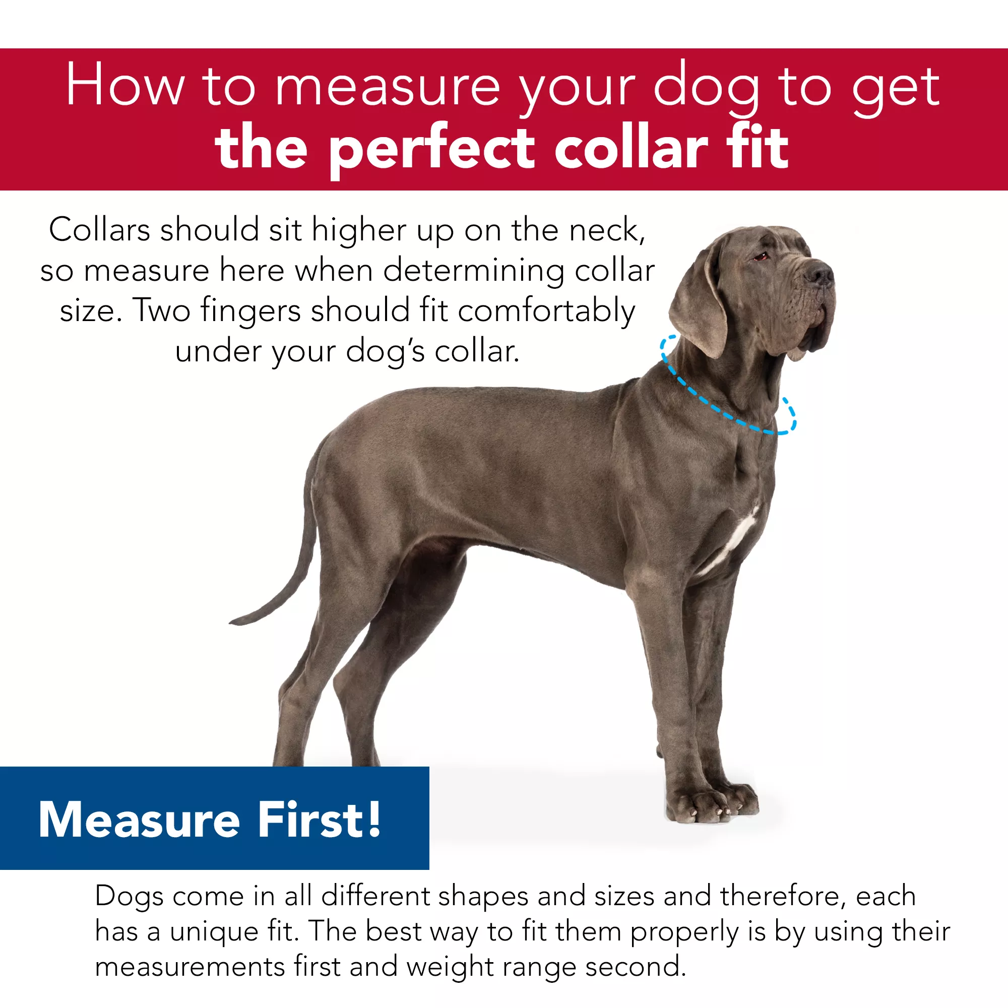 collar_sizing.jpg