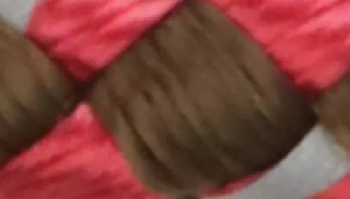 K9 Explorer® Reflective Braided Rope Snap Dog Leash Product image