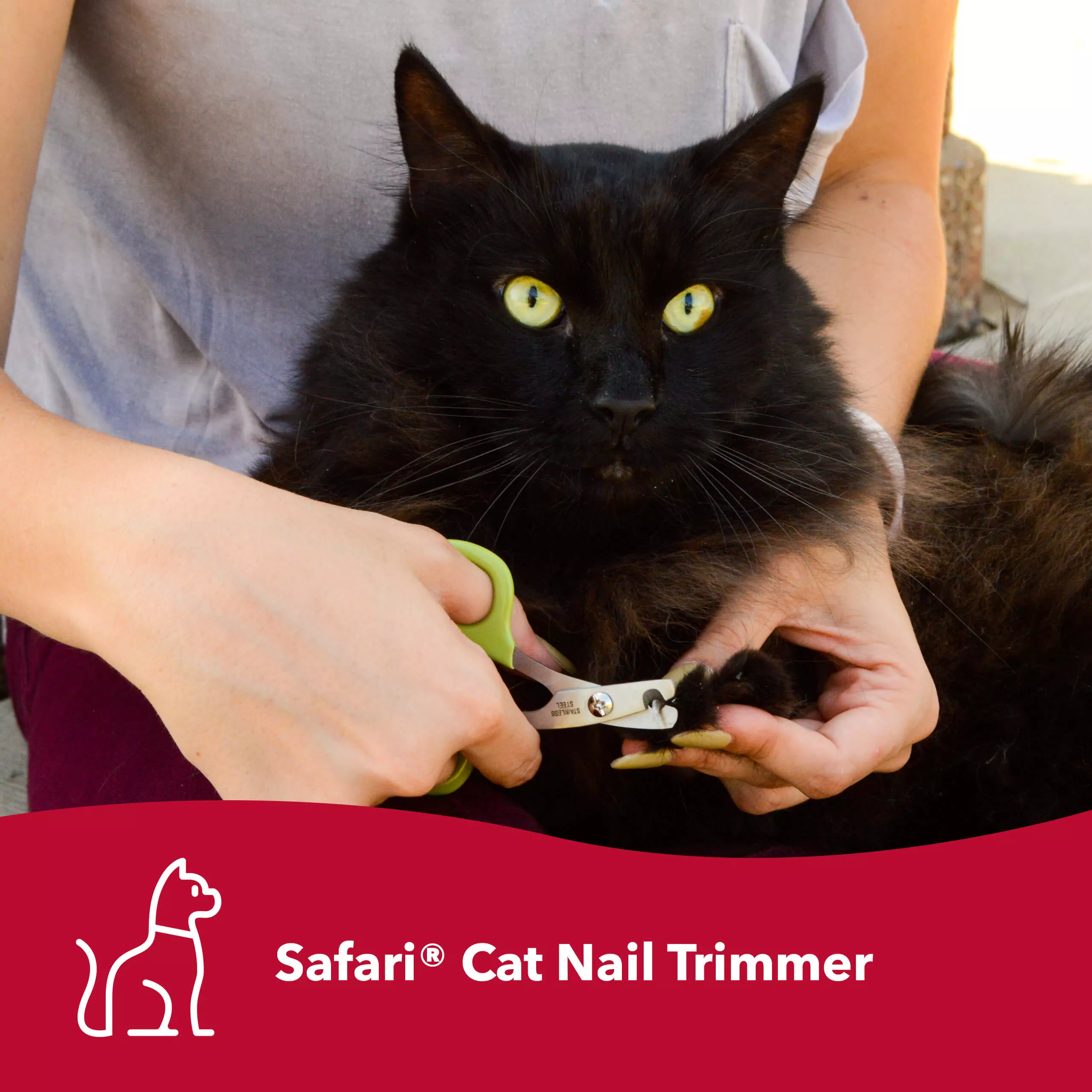 A black long‑haired cat is held while its claws are trimmed using a pale green cat nail trimmer. The tool has curved finger loops and short metal cutting blades. A red banner along the bottom contains white text reading “Safari® Cat Nail Trimmer.” The background includes indoor furnishings.