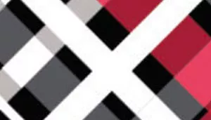 A swatch shows patterned fabric in a Red and Grey Plaid design. The pattern consists of intersecting diagonal and horizontal bands in red, white, black, and gray, forming a plaid grid. The fabric appears smooth and tightly woven.