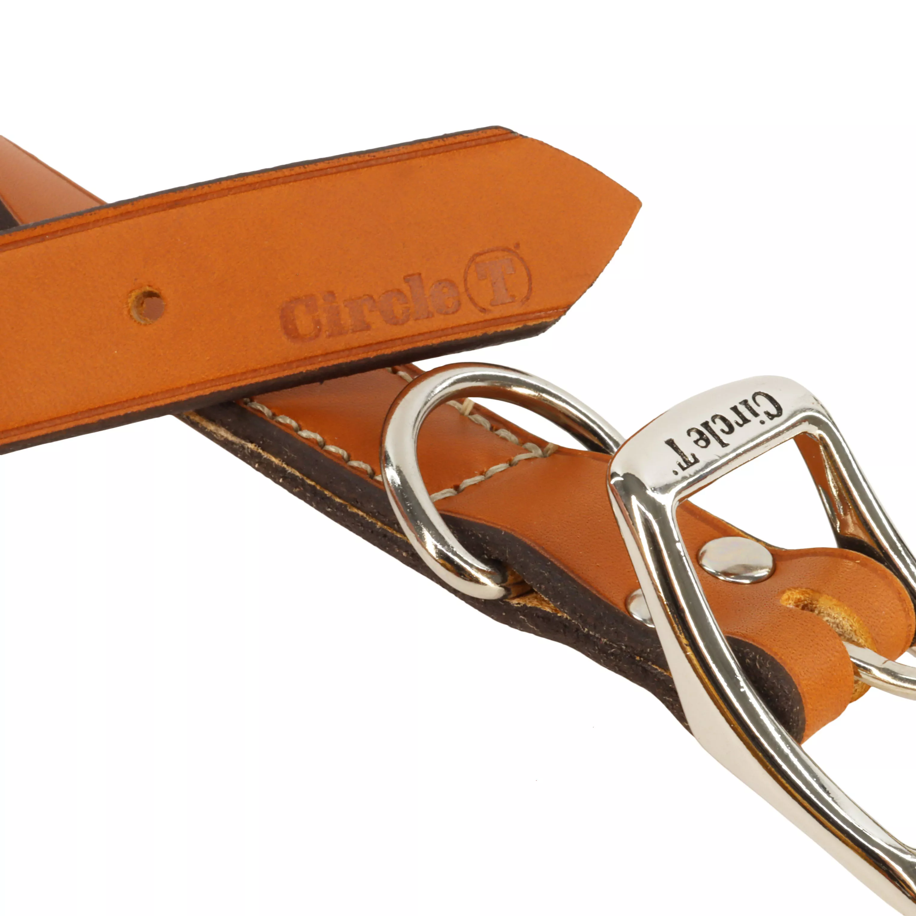 A close view of the Circle T® Oak Tanned Leather Town Dog Collar in Tan displays the buckle area in detail. The tan oak‑tanned leather has a smooth surface with visible grain. The flat buckle panel features tan contrast stitching, a polished silver buckle, and a matching D‑ring. The collar’s end tapers into a pointed tip with evenly spaced adjustment holes. The white background highlights the craftsmanship.