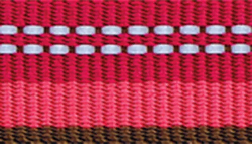 K9 Explorer® Reflective Adjustable Dog Collar Product image