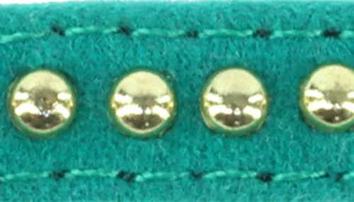 Li'l Pals® by Coastal® Posh B'Dazzled Velvet Dog Collar Product image