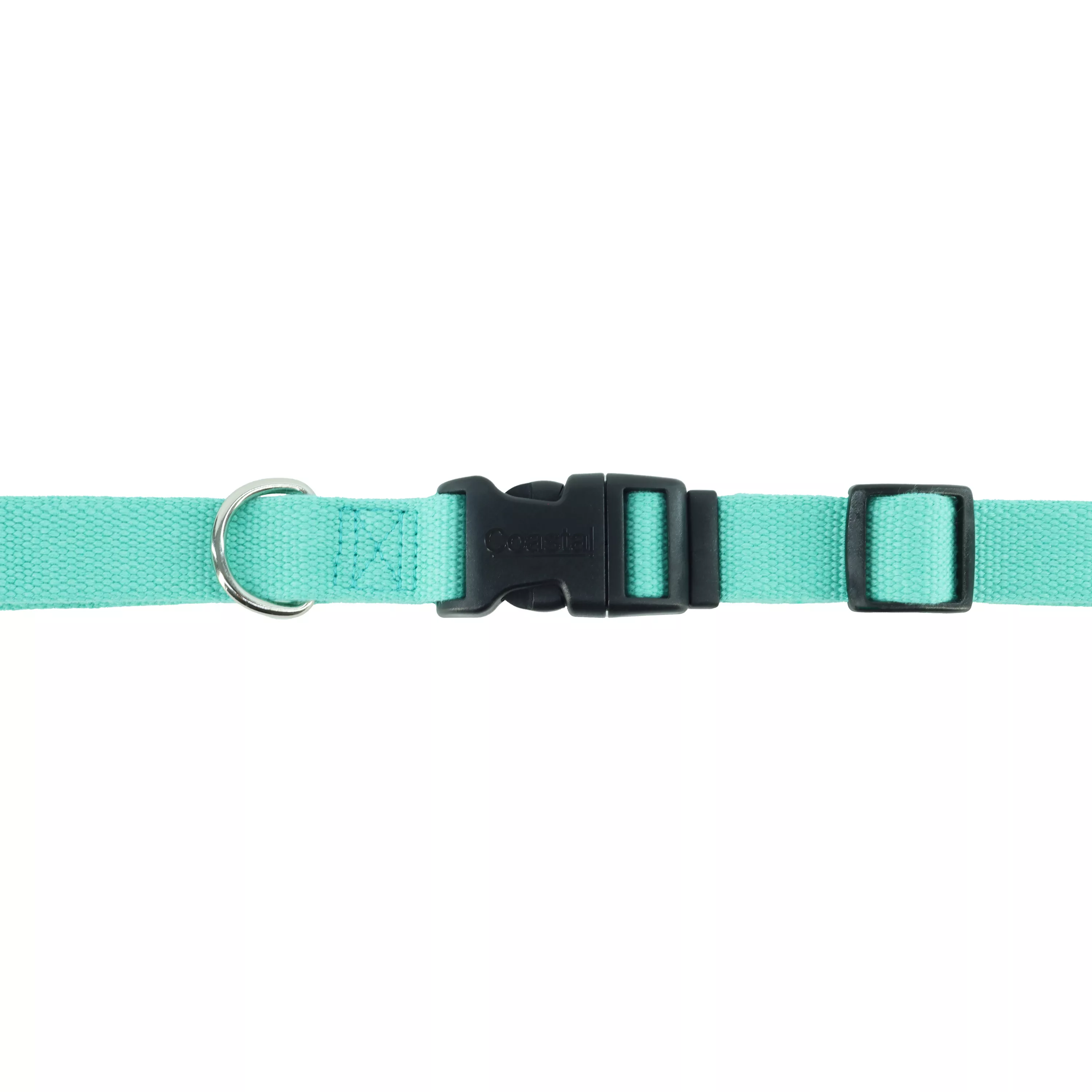 A mint‑colored dog collar is displayed against a white background. The collar includes a black plastic buckle, a black adjustment slider, and a silver metal D‑ring.