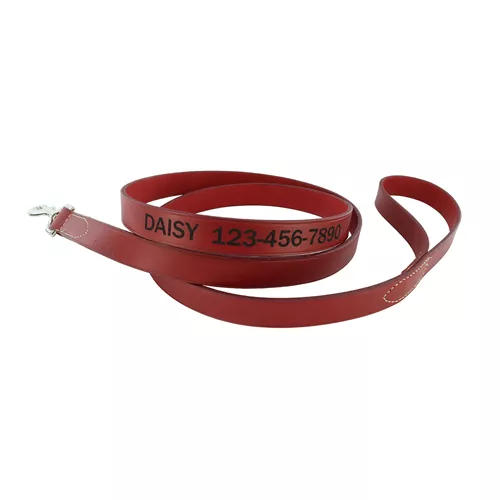 Circle T® Oak Tanned Leather Dog Leash - Personalized Product image