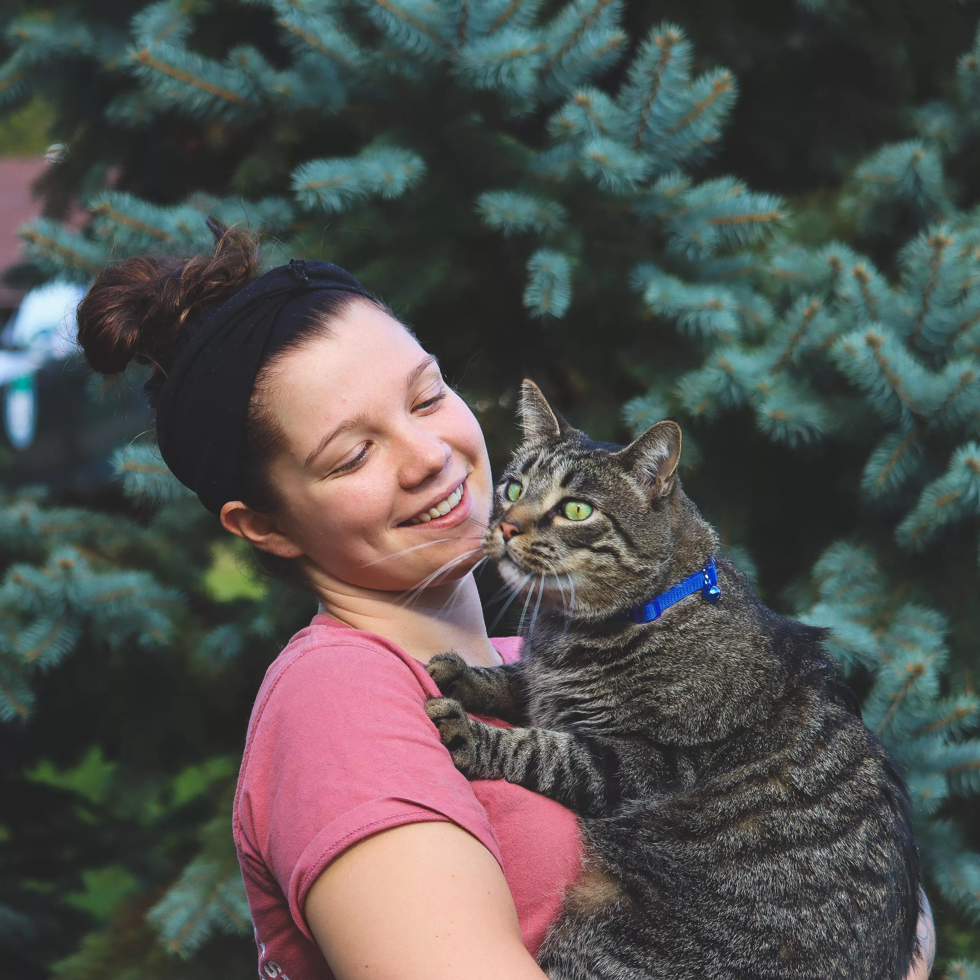 A lifestyle image of a cat wearing an adjustable snag‑proof breakaway collar in bright blue. The collar has a matching blue buckle and a small silver bell attached to a metal ring. The cat is outdoors with evergreen branches in the background. Someone is holding the cat, but only arms and hands are visible.