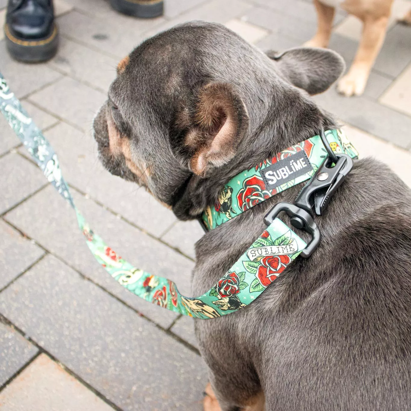 A dark-colored dog is wearing a Sublime adjustable collar and matching leash in the Tattoo Sleeve pattern. The collar and leash feature a teal background with colorful tattoo-inspired motifs, including red hearts with banners, white skulls, and roses. The collar is secured with a black plastic side-release buckle, and the leash is attached to the collar with a black metal clip. The dog is standing on a paved surface with gray bricks, and part of another tan-colored dog is visible in the background.