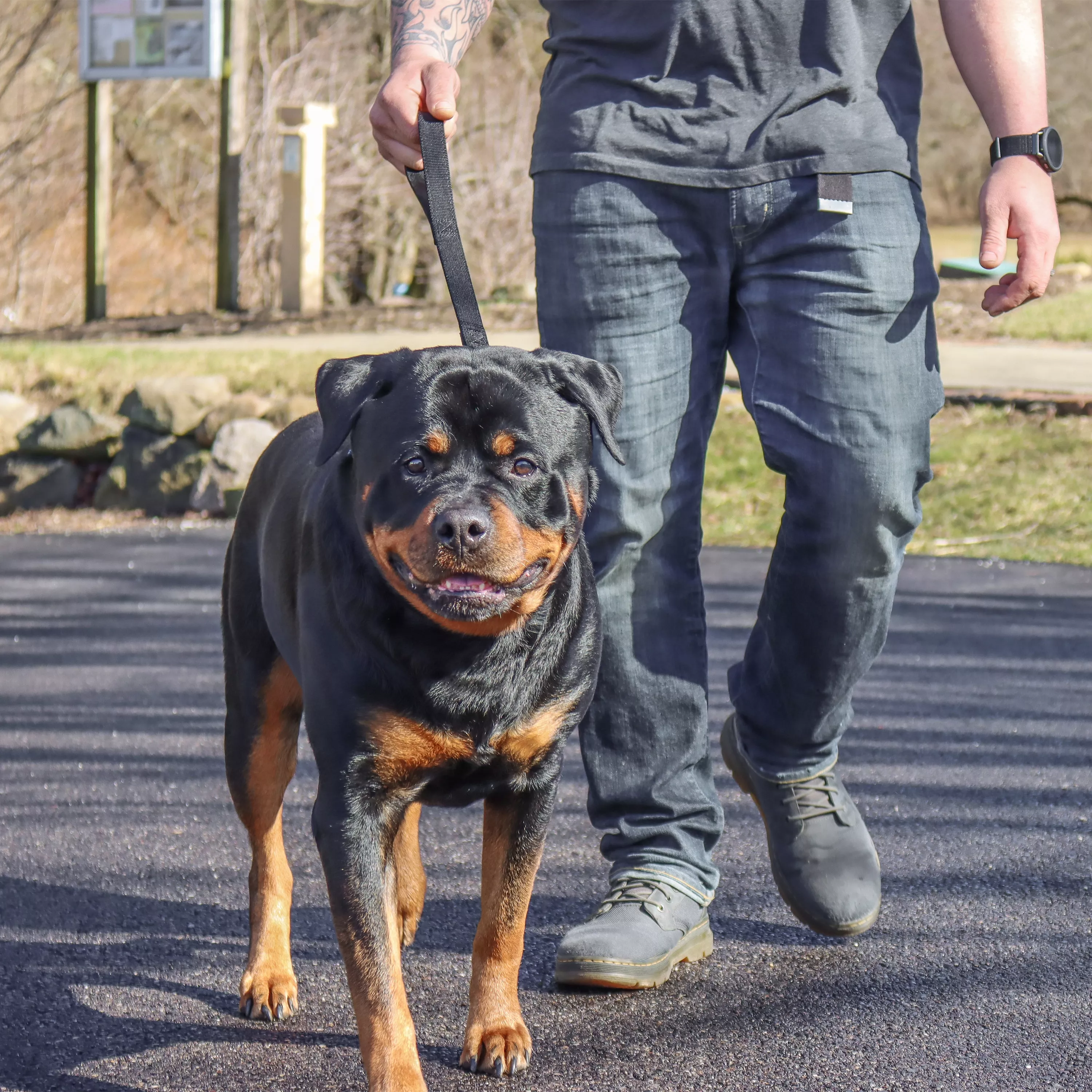 A dog with a short black and tan coat stands on a paved surface beside a person whose lower body is visible. The dog is wearing a black double‑ply traffic leash made of thick woven nylon. The leash is attached to the collar with a silver‑tone metal swivel bolt‑snap clasp. The person holds the short leash close to the dog. The background includes pavement, grass, and blurred trees.