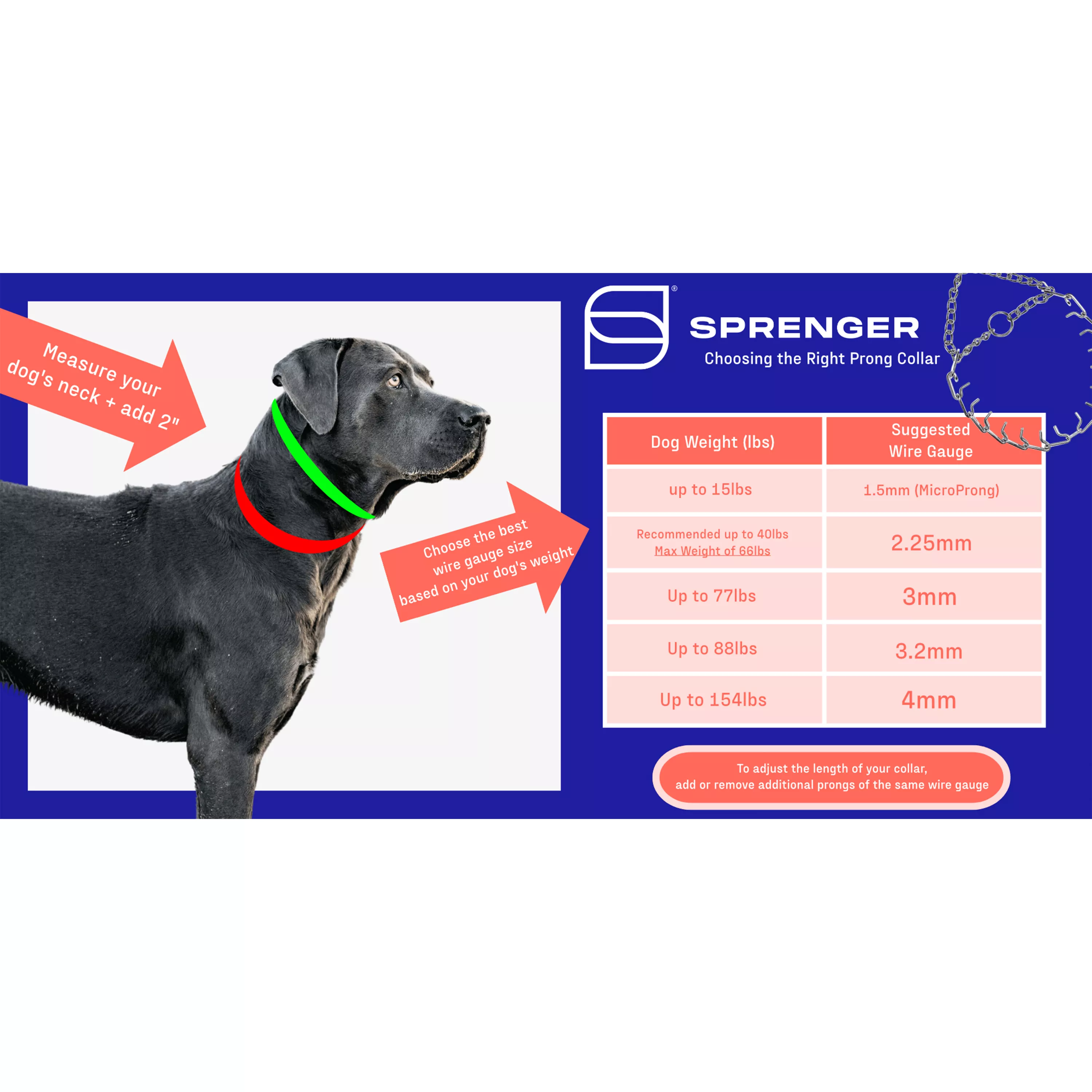 An informational graphic displayed on a blue background showing a dog in side view wearing a collar around the neck. A colored outline highlights the neck area. To the right is a rectangular chart with multiple columns and rows containing size information. Readable text at the top reads “Herm Sprenger Prong Sizing Guide.” Additional small text, arrows, and measurement indicators are visible within the diagram.