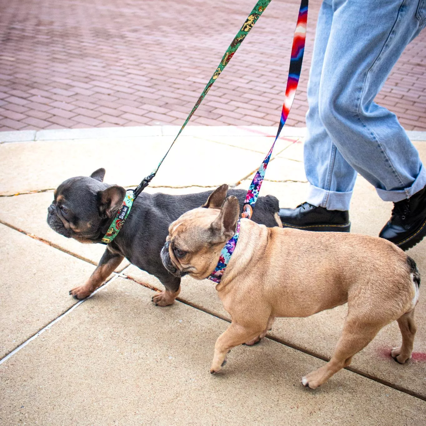 Two dogs are walking on a sidewalk next to a person. The dog on the left is wearing a Sublime adjustable collar and matching leash in the Tattoo Sleeve pattern, which features a teal background with colorful tattoo-inspired motifs such as red hearts, white skulls, and roses. The dog on the right is wearing a Sublime adjustable collar and matching leash in the Floral Jelly pattern, which displays a multicolor abstract floral design with shades of pink, purple, blue, teal, and orange on a dark background. Both leashes are attached to the collars with black metal clips and are held by the person, who is wearing light blue jeans and black shoes. The background includes a paved brick area and concrete sidewalk.