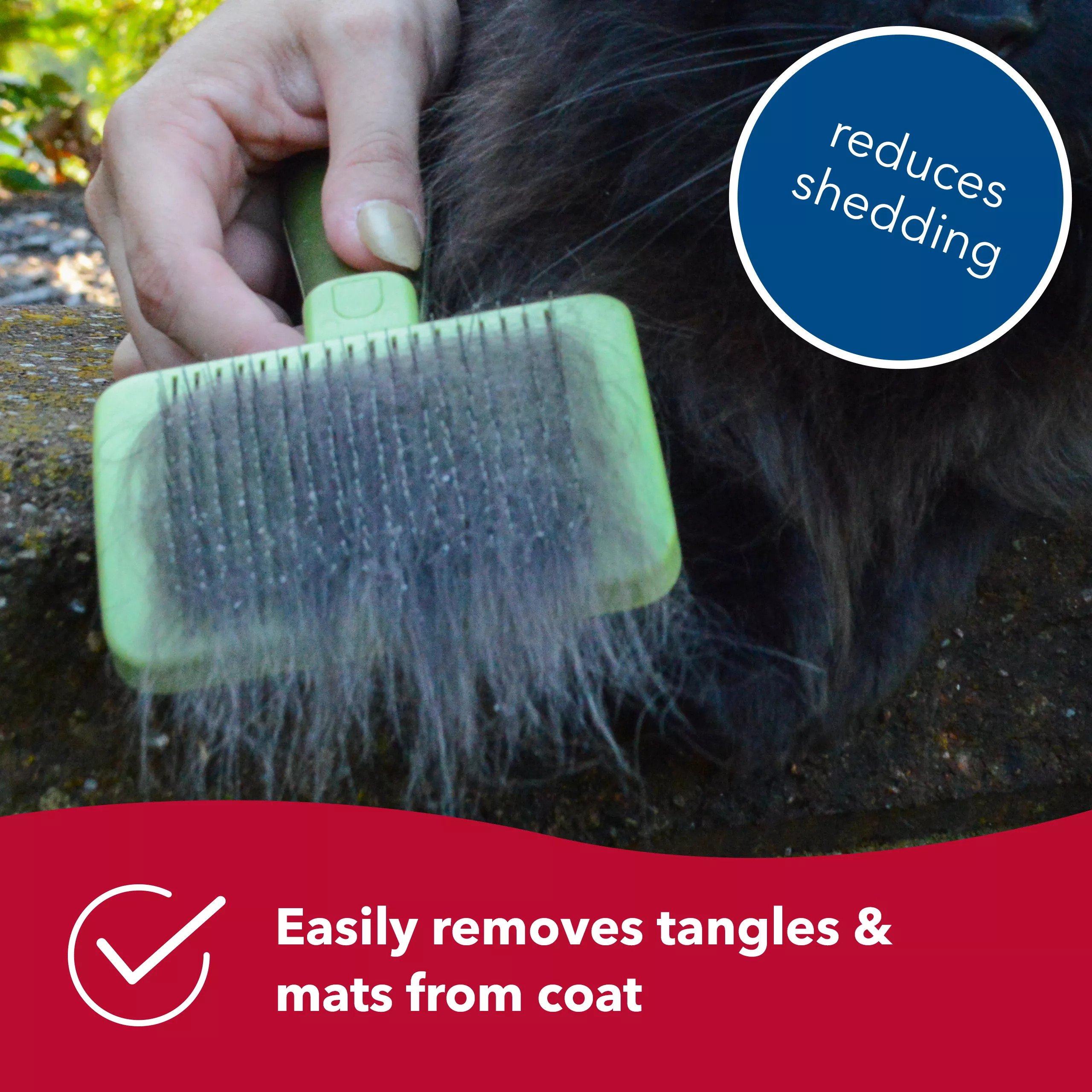 A long‑haired cat is brushed outdoors with a pale green self‑cleaning slicker brush. The brush has a rectangular head with metal bristles and a pale green handle with darker green grip areas. A blue circular graphic contains white text reading “reduces shedding.” A red banner at the bottom contains white text reading “Easily removes tangles & mats from coat.”