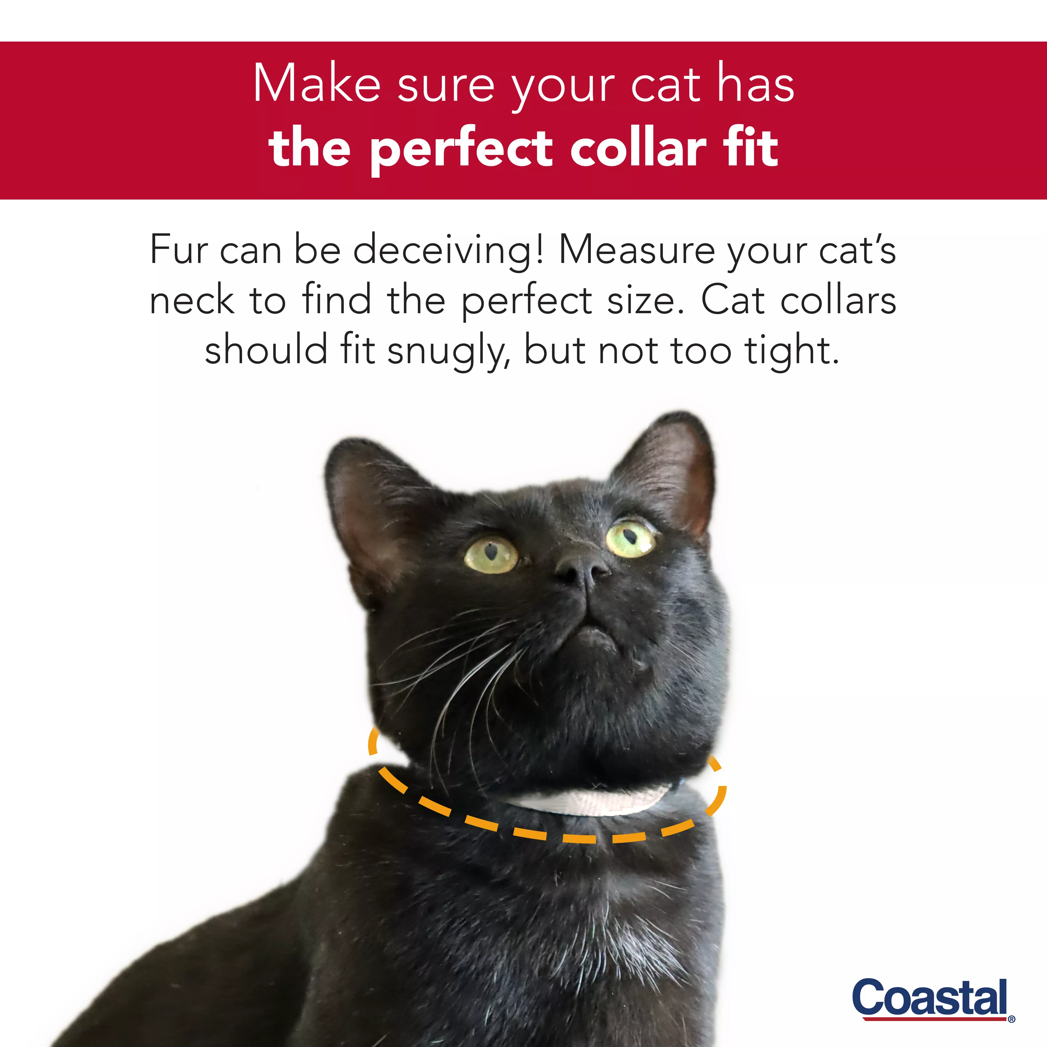 A lifestyle image of a cat sitting outdoors on grass wearing a yellow adjustable snag‑proof breakaway collar. The collar buckle is yellow, and a silver bell hangs from a metal ring. The cat is looking upward. Red printed text appears above the cat, reading “Make sure your cat has the perfect collar fit,” accompanied by measurement guidance that reads "fur can be deceiving! Measure your cat's neck to find the perfect size. Cat collars should fit snugly, but not too tight."