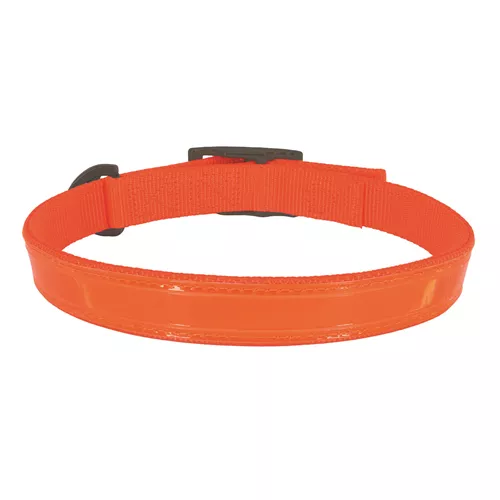 Water & Woods™ Double-Ply Reflective Hound Dog Collar Product image