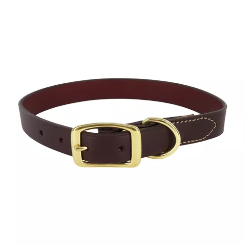 Circle T® Latigo Leather Town Dog Collar with Brass Hardware Product image