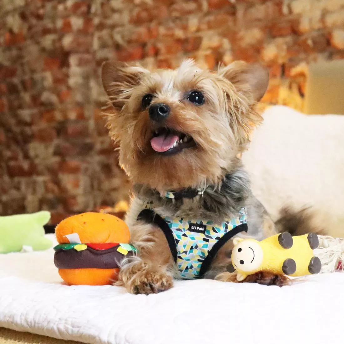 A small dog wearing a patterned canvas harness sits on a white blanket surrounded by toys. The dog is holding a plush hamburger toy made of soft brown, yellow, and green fabric. Other latex and rope toys are also visible near the dog, including shapes resembling animals. The background shows a brick wall and indoor seating.