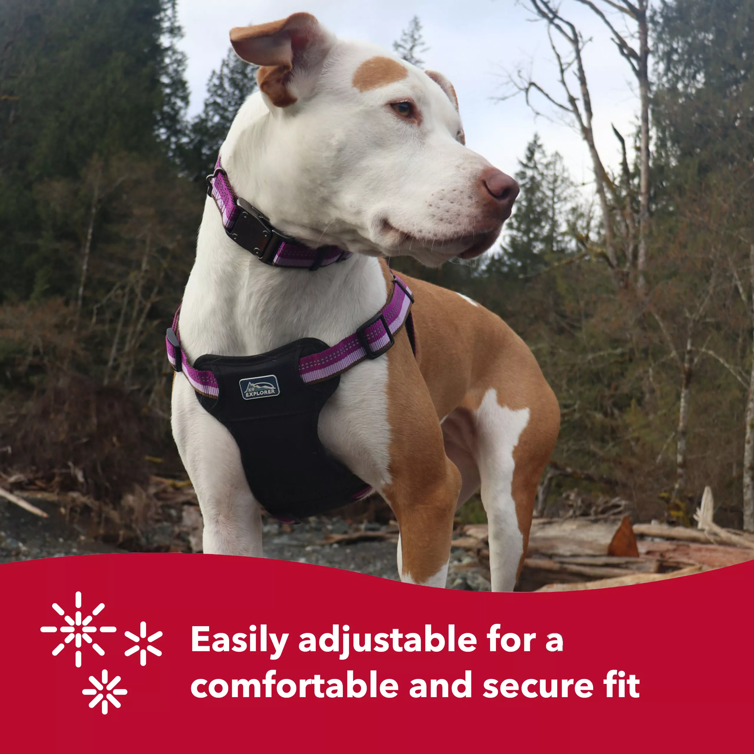 36645 BRY24 4_COSTL US IS