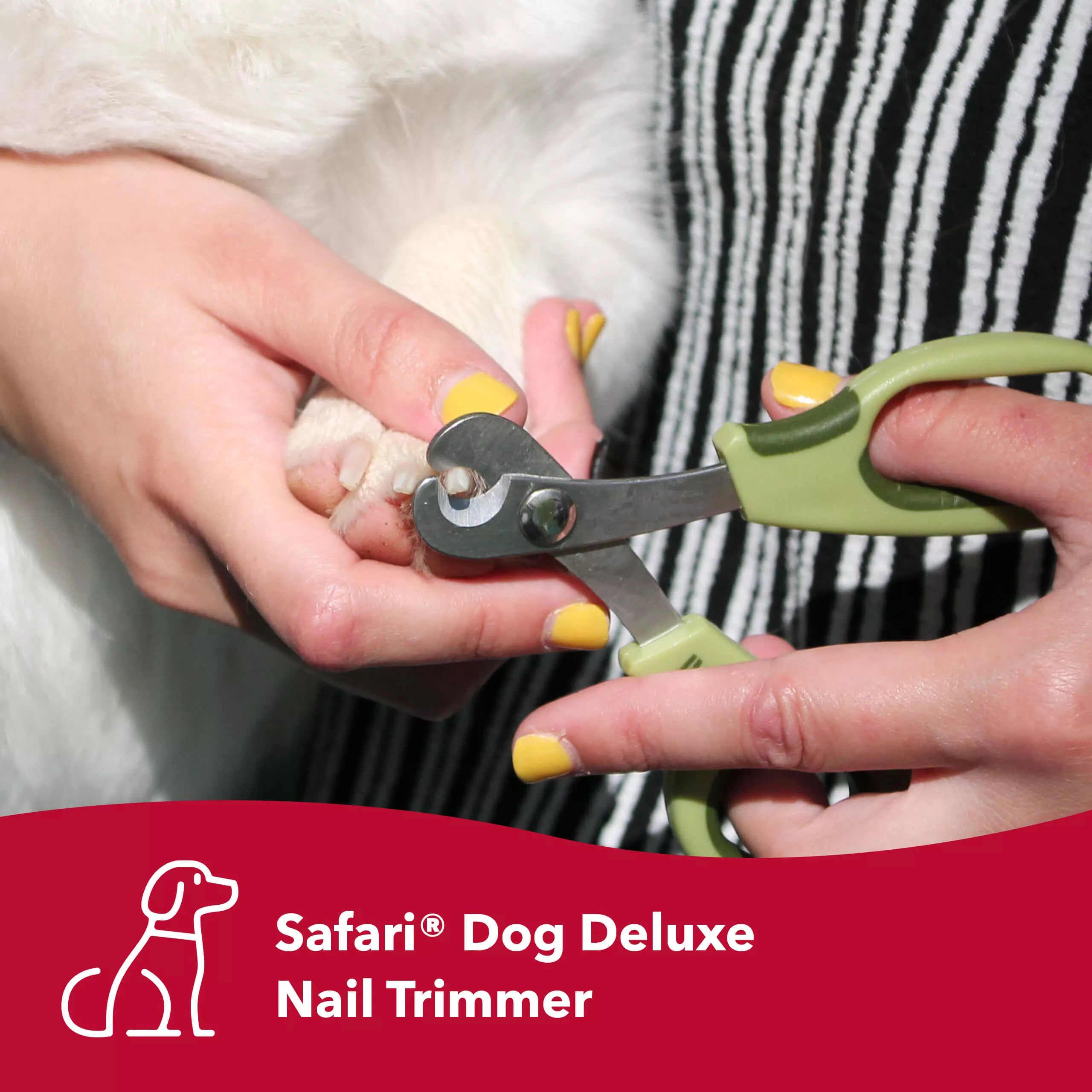 Safari Professional Large Nail Trimmer For Dogs