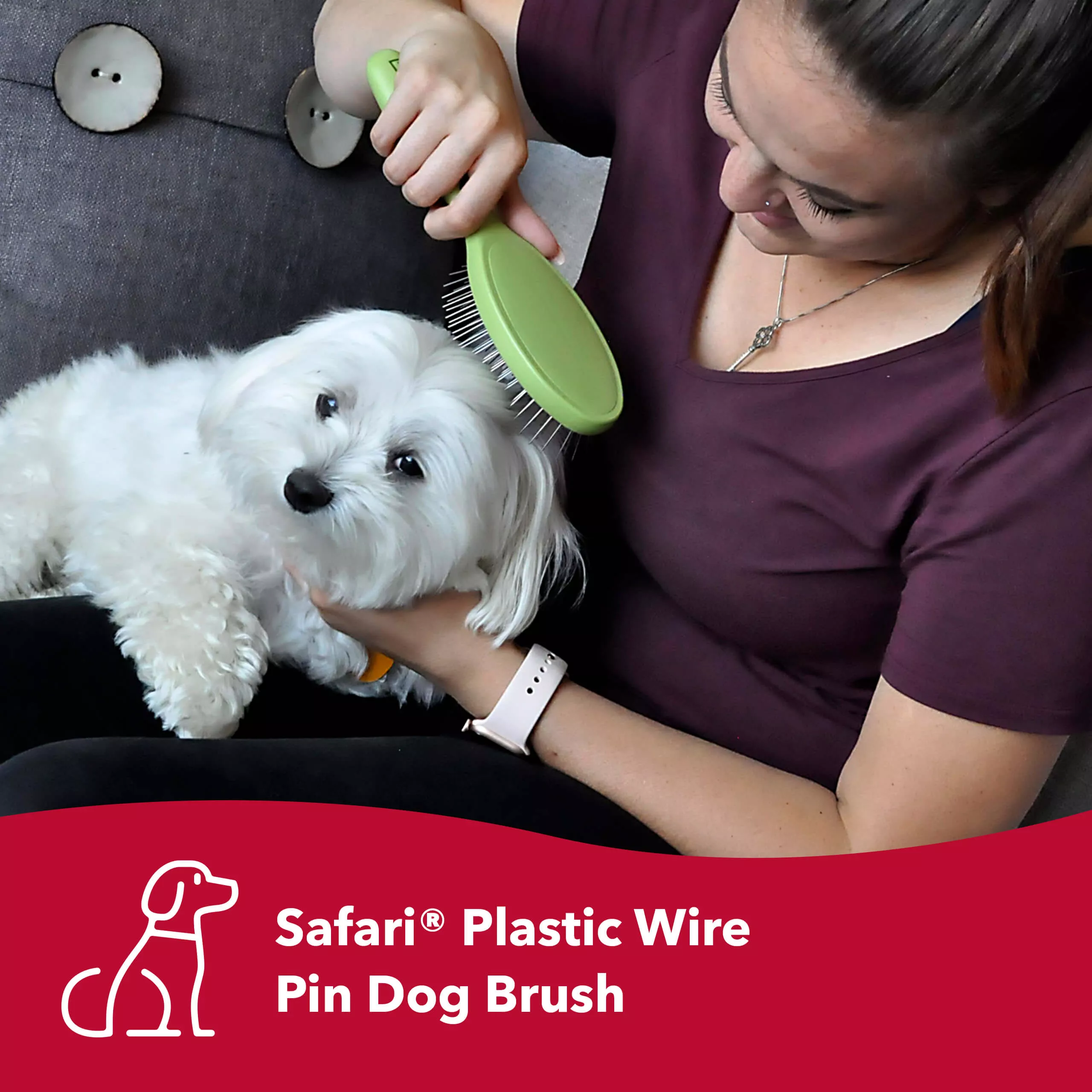 A lifestyle image of a person brushing a small white long‑haired dog using a wire pin brush with a plastic handle. The brush has an oval black pin pad filled with straight metal pins and a light green handle. A red banner along the bottom includes a white line‑art dog icon and the printed text “Safari® Plastic Wire Pin Dog Brush.”