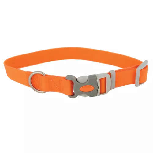 Water & Woods™ Waterproof Adjustable Dog Collar Product image