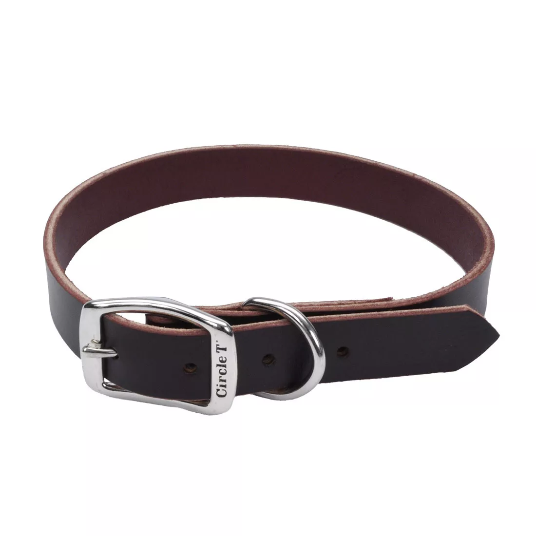 A product‑only image of the Circle T® Latigo Leather Town Dog Collar is displayed against a white background. The collar is crafted from reddish‑brown latigo leather with smooth, flat edges and visible natural grain. A polished silver‑metal buckle is attached to a reinforced leather section stitched with thick white thread. A silver D‑ring sits beside the buckle for leash attachment. The collar is shaped into a partial oval, emphasizing its flexible yet sturdy construction.